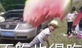 吃瓜小熊陈时,揭秘娱乐圈幕后故事