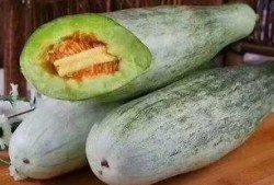 吃羊角瓜逛景点