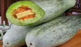 吃羊角瓜逛景点