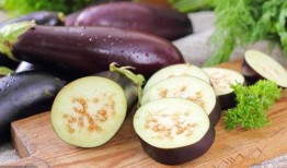 和马嘉茄一起吃瓜,一场美食与娱乐的跨界盛宴