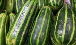 多人公园吃瓜,见证人间百态