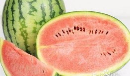 吃瓜坏肚子吗,吃瓜引发肠胃不适？揭秘吃瓜坏肚子的真相