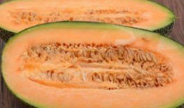 自贡吃哈密瓜卡