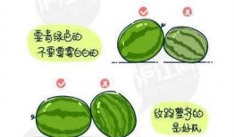 春季吃瓜的正确方法,解锁健康美味新姿势