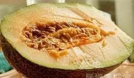月经期哈密瓜可以吃吗,月经期哈密瓜食用适宜性探讨
