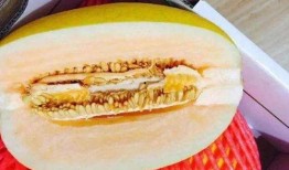 假吃西瓜哈密瓜