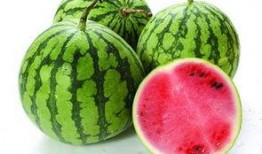 小何吃瓜,揭秘娱乐圈那些不为人知的幕后故事