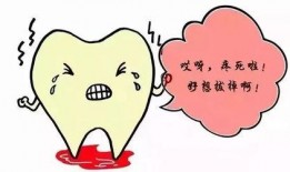 吃瓜导致牙疼视频,揭秘口腔健康小常识