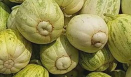 吃瓜坏肚子吗,吃瓜引发肠胃不适？揭秘吃瓜坏肚子的真相