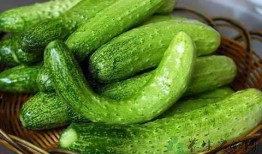 铁牛瓜怎么吃,解锁美味新体验