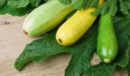 17cgcc吃瓜5,一场网络热议背后的真相