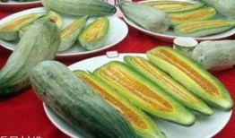 吃牛角酥瓜的好处,美味与健康双重享受的秘密