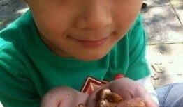 天天张悦轩吃瓜,揭秘娱乐圈幕后故事