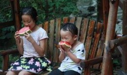 河南主播吃瓜,揭秘幕后故事与美食诱惑