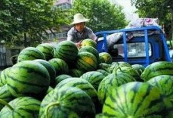 高新全能的视频吃瓜