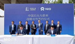 中国石化吃瓜,揭秘“吃瓜”背后的行业风云