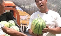 热搜吃瓜苹果,热搜瓜中探寻科技巨头的新篇章