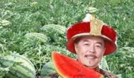 君王吃瓜,宫廷秘闻中的瓜田传奇