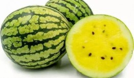 玉田瓜如何吃,解锁美味新体验