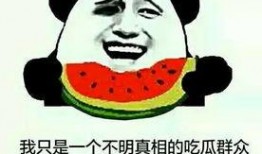 没有瓜的吃瓜群索然无味,无瓜群索然无味的尴尬时刻