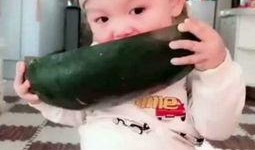 吃瓜视频幼儿,幼儿视角下的趣味世界