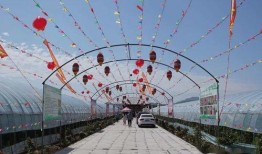 带你吃瓜路牌,揭秘城市趣味故事