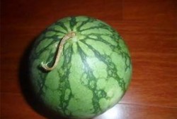 吃瓜老肥,揭秘娱乐圈那些不为人知的幕后故事