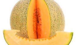 自贡吃哈密瓜卡