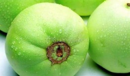 梨瓜如何切成块吃,轻松享受夏日清新美味