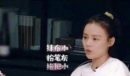 吃瓜星星叶凡,揭秘娱乐圈背后的故事