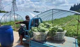 线下吃瓜馆,品味人间烟火，畅谈世间百态