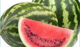 咸瓜可以吃吗痛风,揭秘健康饮食之谜