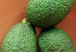 桃和哈密瓜能不能一起吃,探寻两者相容的饮食奥秘