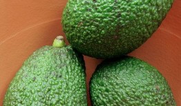 桃和哈密瓜能不能一起吃,探寻两者相容的饮食奥秘