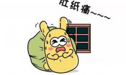 吃瓜群众辩论,网络辩论背后的社会现象解析