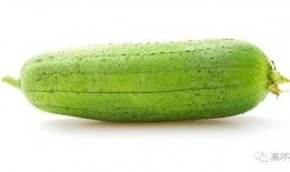 夏天的吃的瓜,清凉解暑的甜蜜诱惑