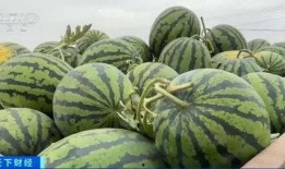 中手游吃瓜,揭秘行业幕后风云