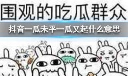 抖音吃瓜小黑,揭秘网络热点背后的真相