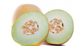 怀孕了吃哈密瓜,哈密瓜助力母婴健康