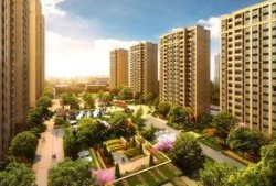 吃瓜小区金茂悦,吃瓜群众眼中的网红小区风云录