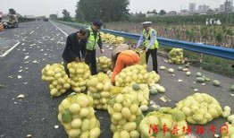 邵东吃瓜群众,揭秘网络舆论背后的真相