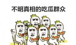 类似吃瓜群众的小说