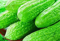 梦到吃凉瓜,探寻清凉梦境的神秘寓意