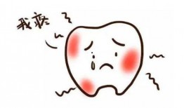 吃瓜导致牙疼视频,揭秘口腔健康小常识