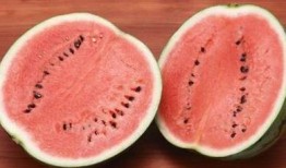 五一免费吃瓜官网,免费瓜果盛宴等你来享！