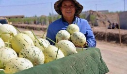 广君吃瓜思维,揭秘娱乐圈那些不为人知的幕后故事