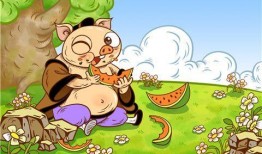 吃瓜看故事,吃瓜群众视角下的传奇故事