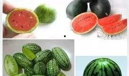 蓝遇吃瓜,揭秘娱乐圈背后的那些事儿