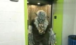 吃西湖瓜视频,一场视觉与味觉的双重盛宴