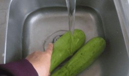 脾虚可以吃茭瓜吗,助调养脾胃健康